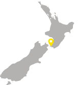 Web_NZ_Map